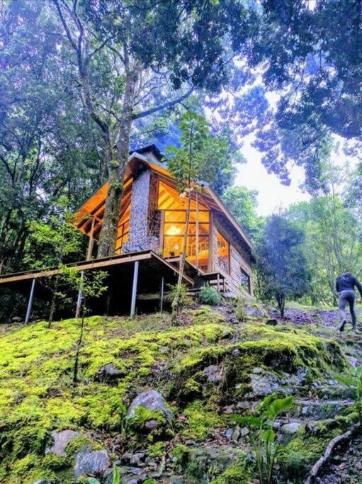 Unicorn Lodge: Direct Riverfront : Unique Experience San Gerardo de Dota Exterior foto