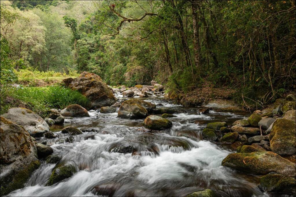 Unicorn Lodge: Direct Riverfront : Unique Experience San Gerardo de Dota Exterior foto
