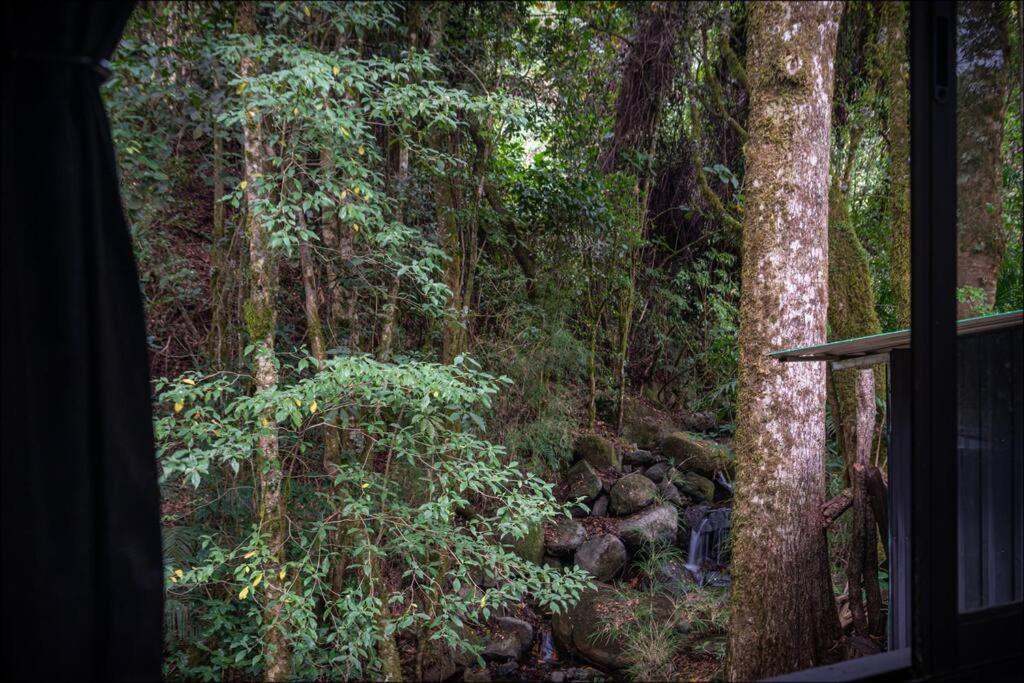 Unicorn Lodge: Direct Riverfront : Unique Experience San Gerardo de Dota Exterior foto