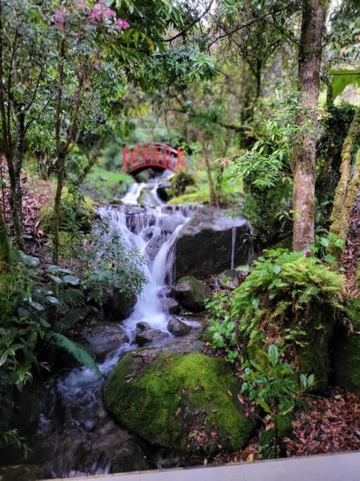 Unicorn Lodge: Direct Riverfront : Unique Experience San Gerardo de Dota Exterior foto